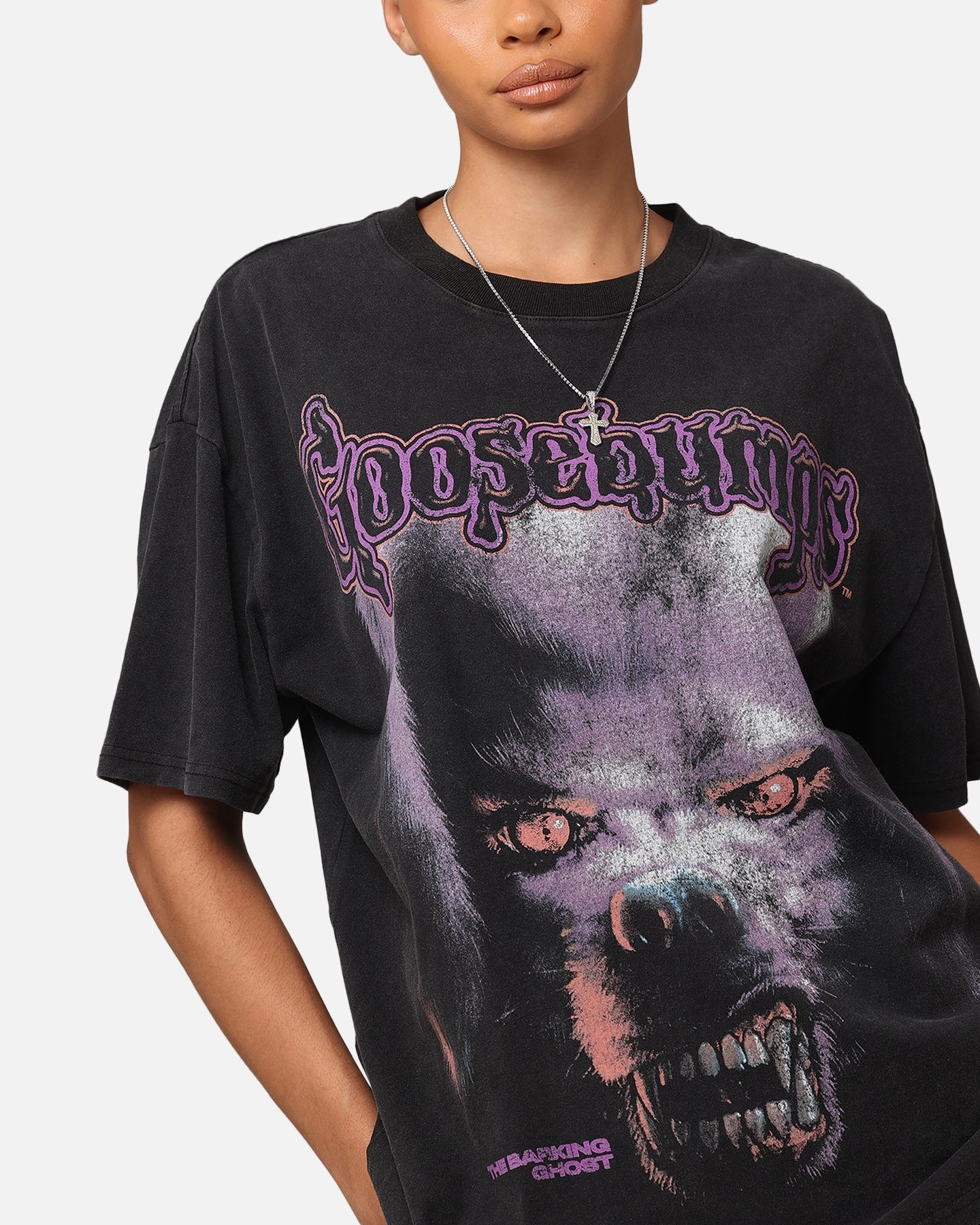 American Thrift X Goosebumps Barking Ghost Heavy T-Shirt Vintage Black
