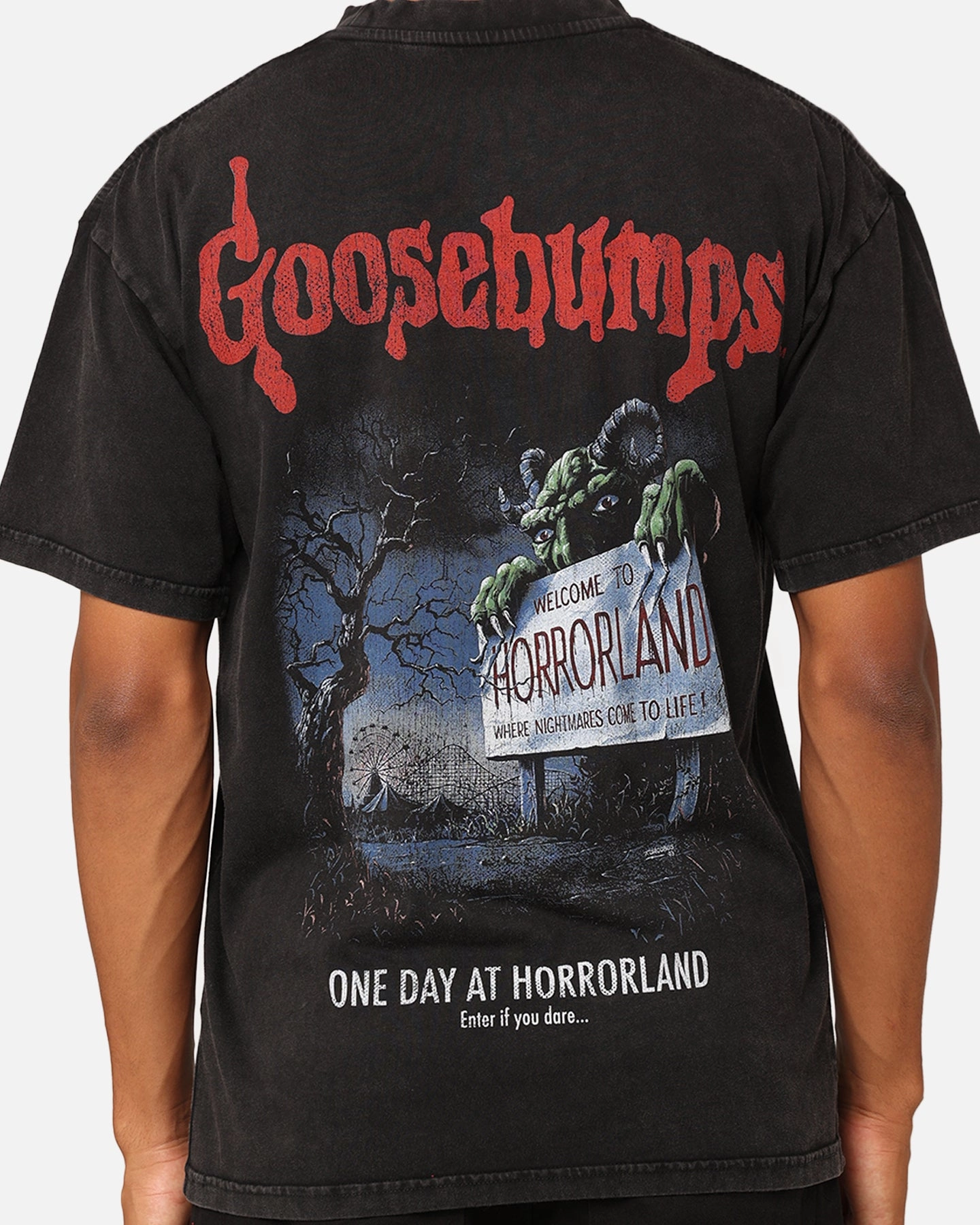 American Thrift X Goosebumps Horror Land Vintage T-Shirt Black Wash