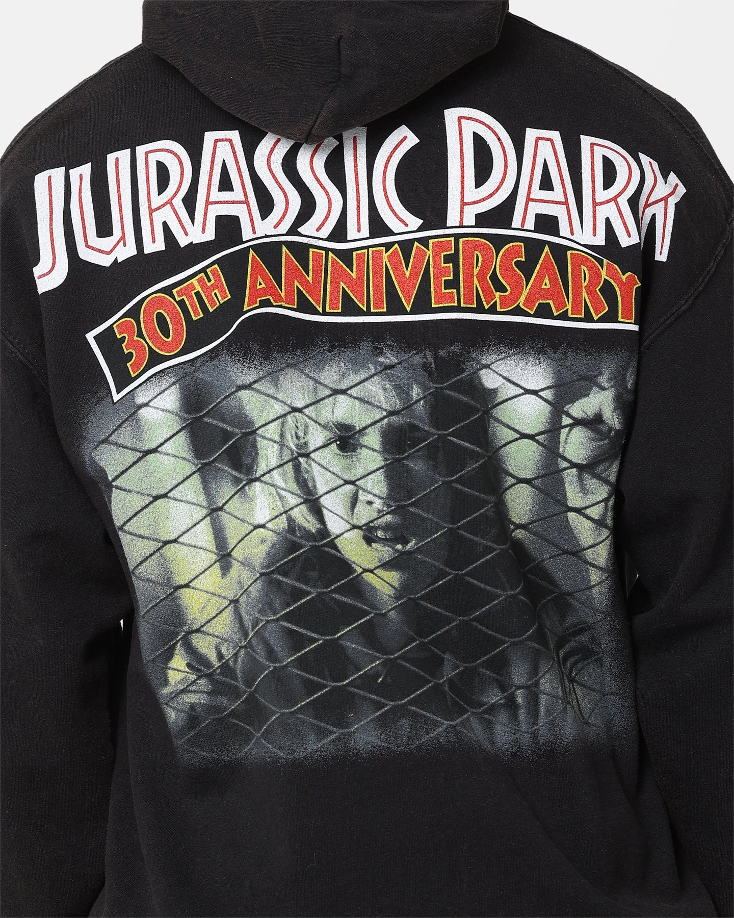 American Thrift X Jurassic Park 30th Anniversary Hoodie Black Wash