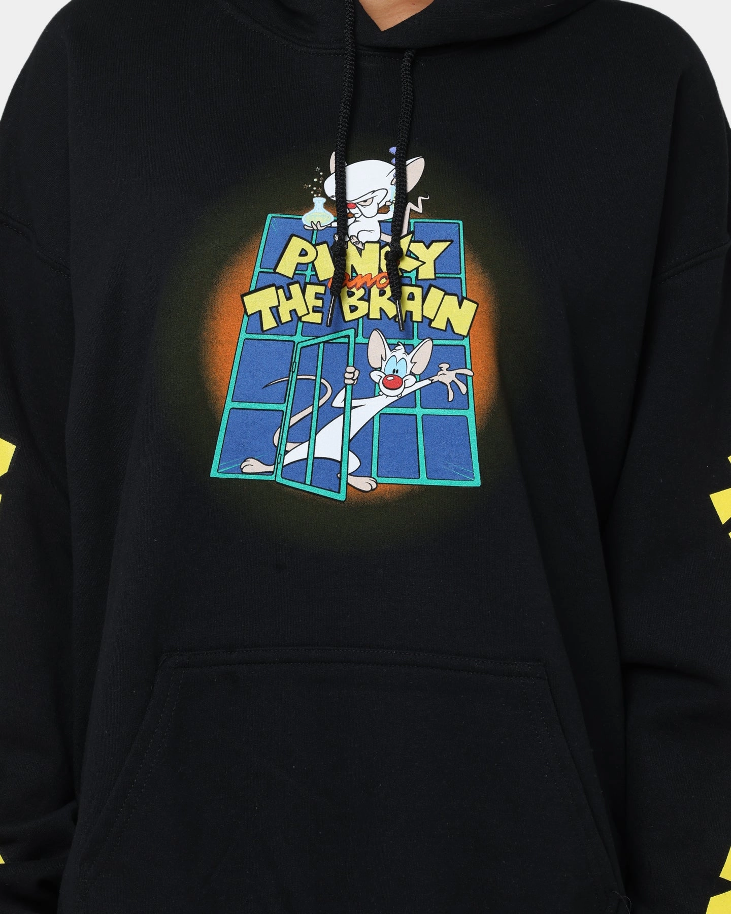 American Thrift X Pinky And The Brain Pinky And The Brain Vintage Hoodie Black Wash