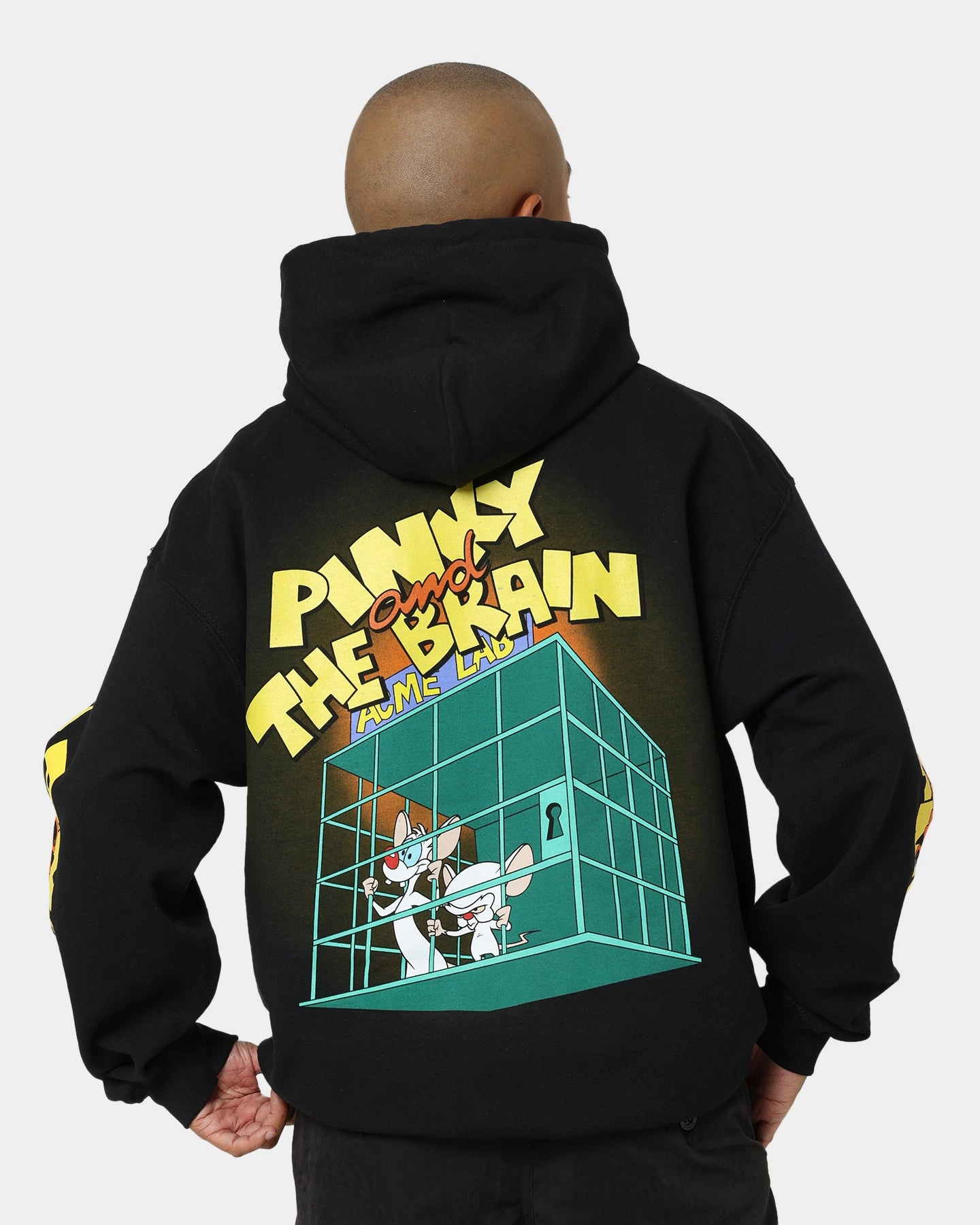 American Thrift X Pinky And The Brain Pinky And The Brain Vintage Hoodie Black Wash