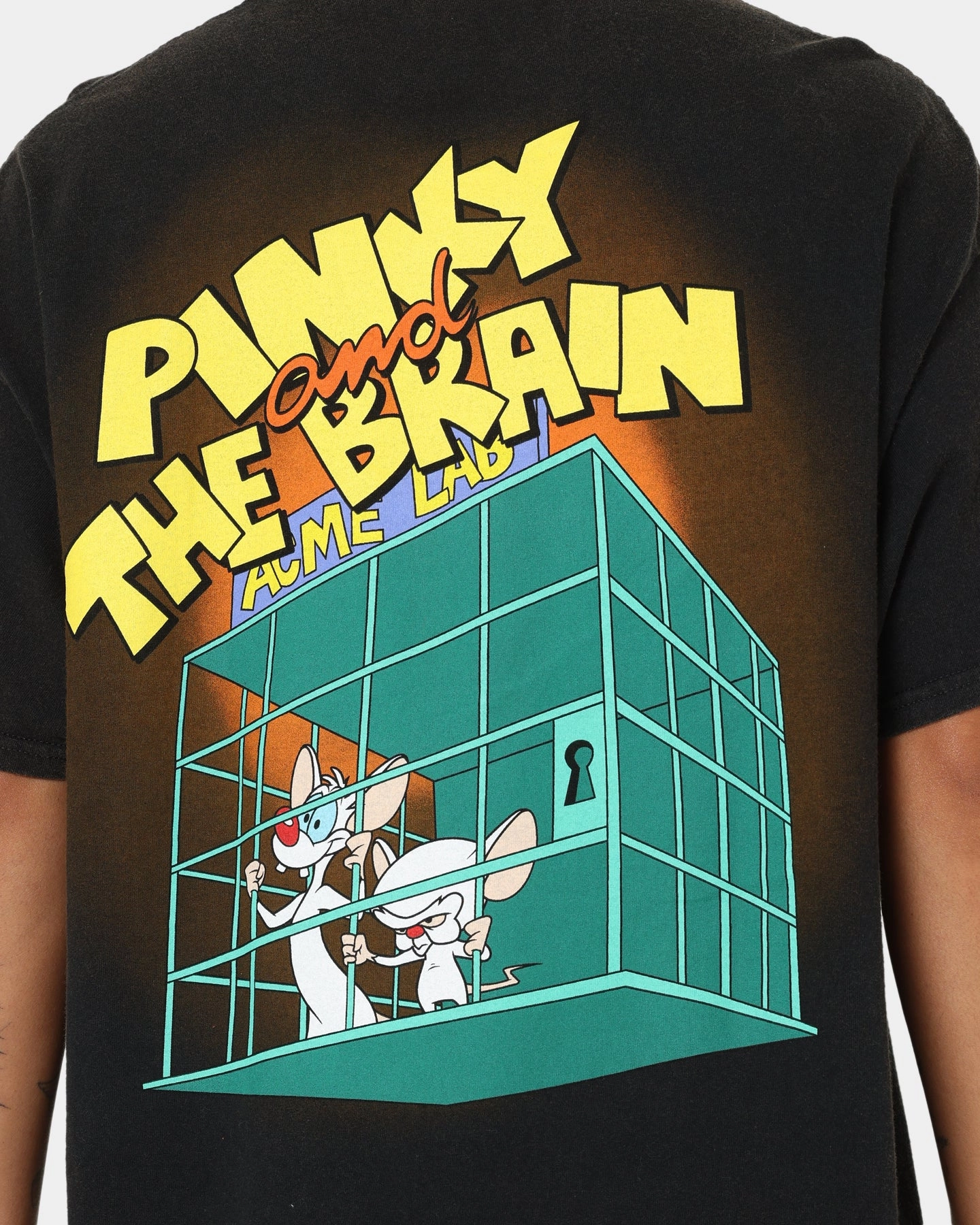 American Thrift X Pinky And The Brain Pinky And The Brain Vintage T-Shirt Black Wash