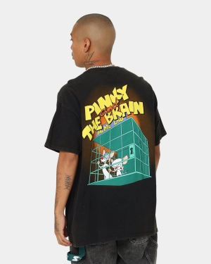 American Thrift X Pinky And The Brain Pinky And The Brain Vintage T-Shirt Black Wash