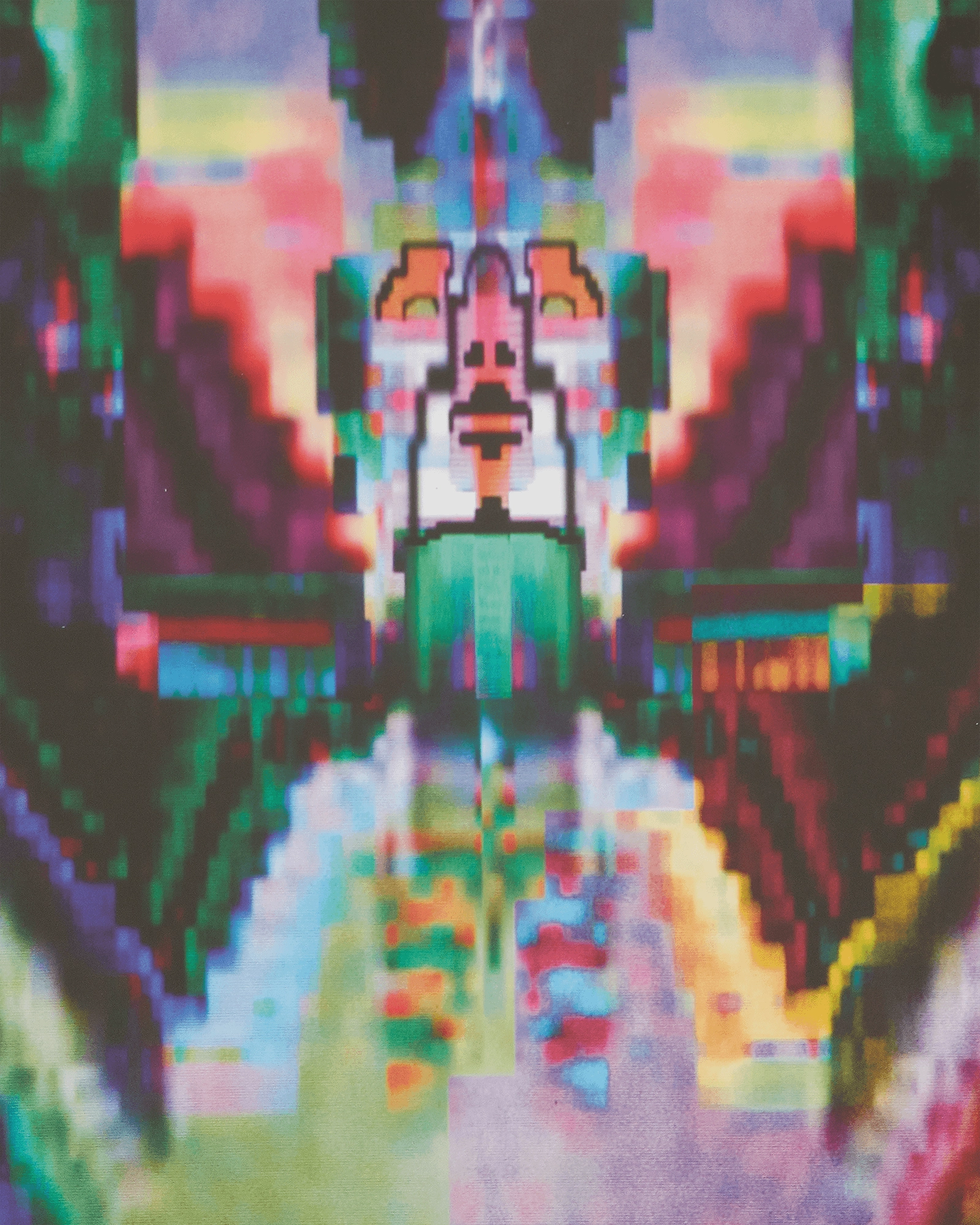 Aries Book Multicolor