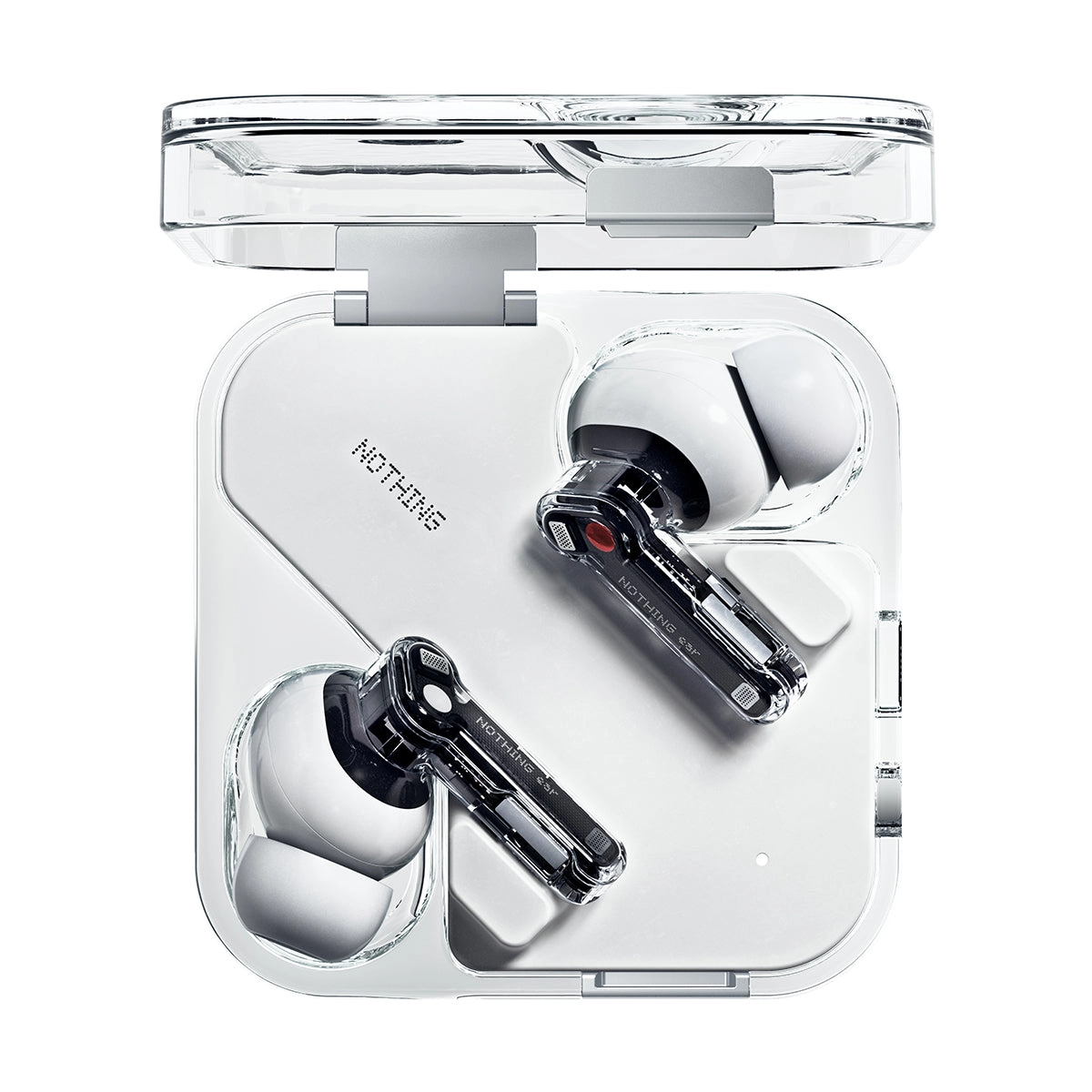 Ear 'White'