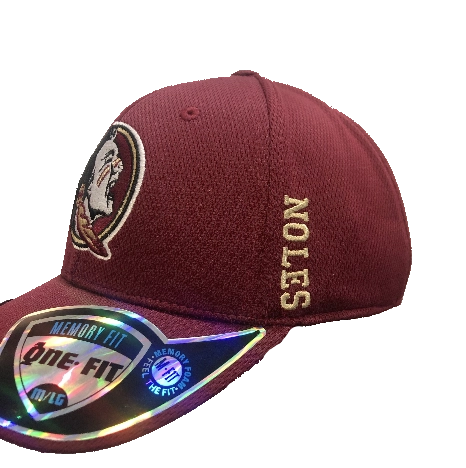 Florida State Seminoles NCAA Top of the World "Booster" Memory Fit Flex Hat