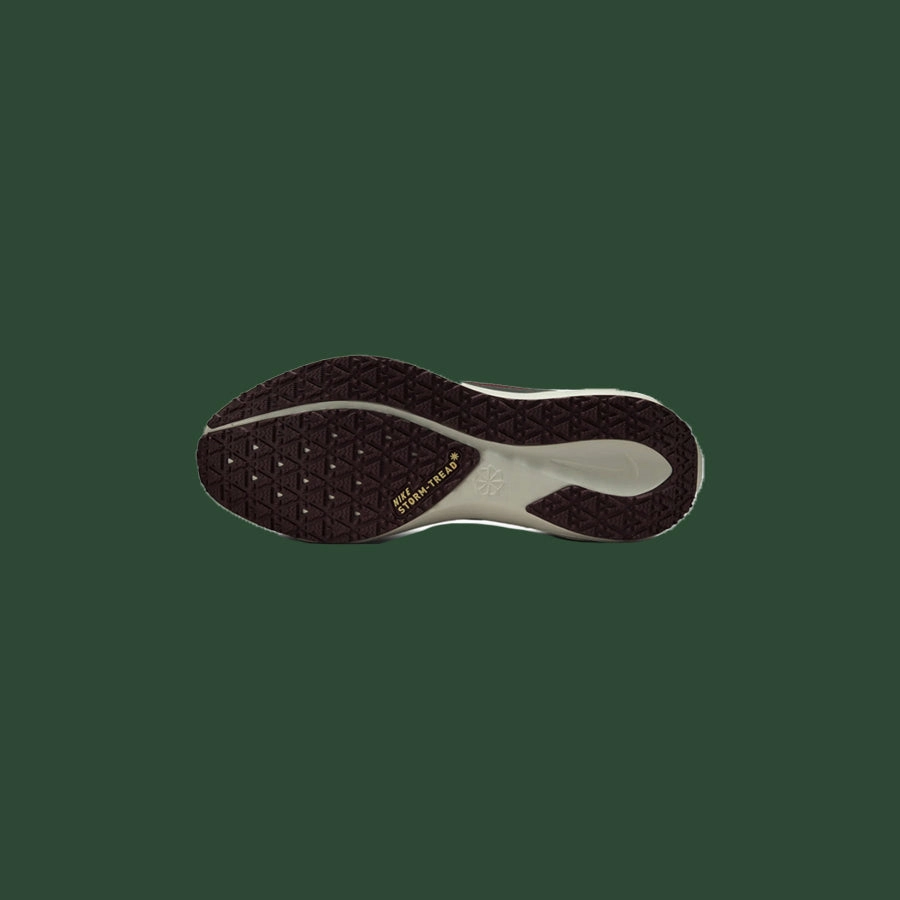 Men's Nike Pegasus 41 Gore-Tex