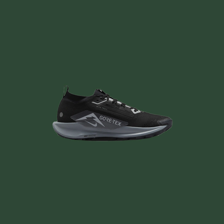 Men's Nike Pegasus Trail 5 GTX