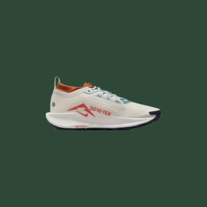 Men's Nike Pegasus Trail 5 GTX
