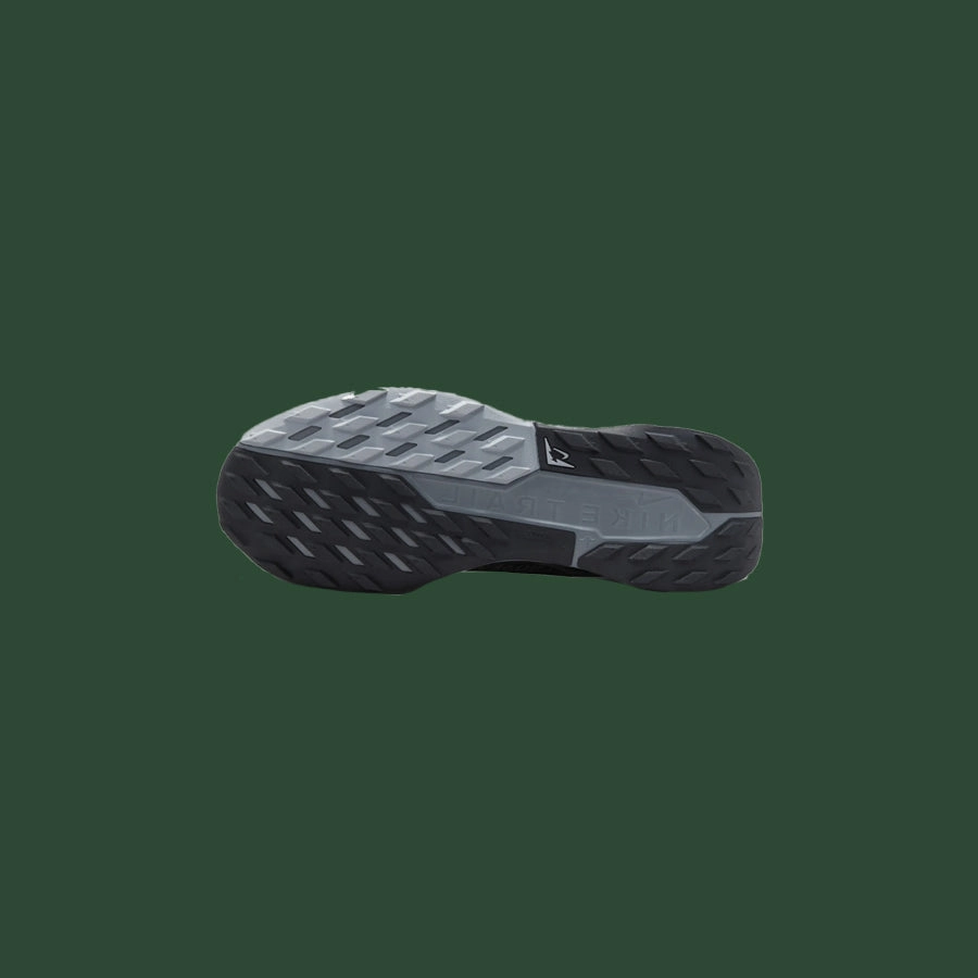 Men's Nike Pegasus Trail 5 GTX