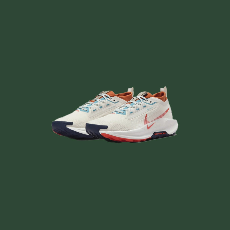 Men's Nike Pegasus Trail 5 GTX