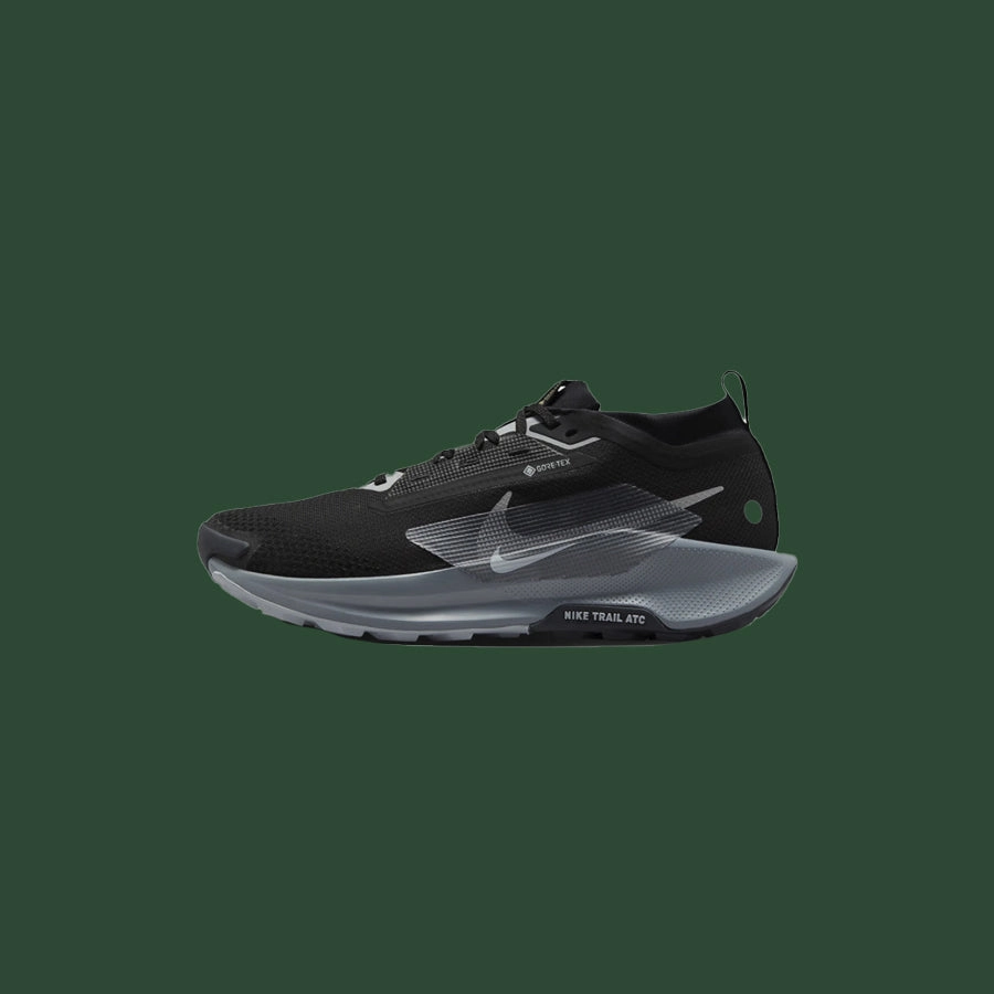 Men's Nike Pegasus Trail 5 GTX