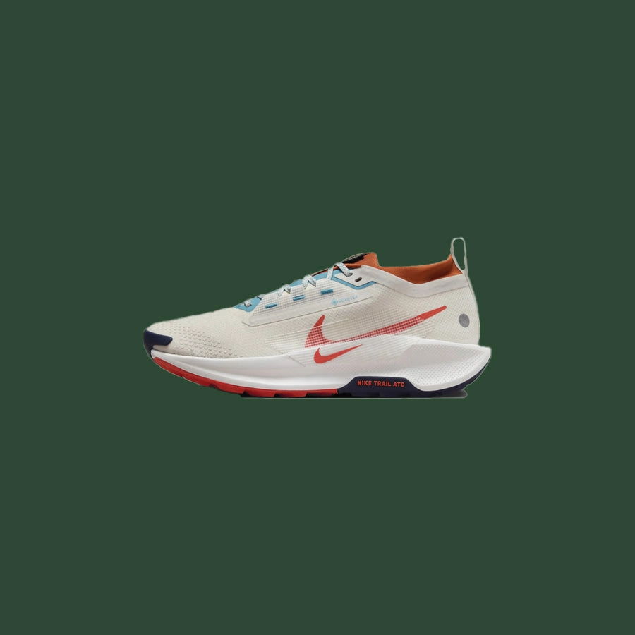 Men's Nike Pegasus Trail 5 GTX