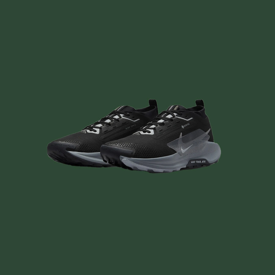 Men's Nike Pegasus Trail 5 GTX