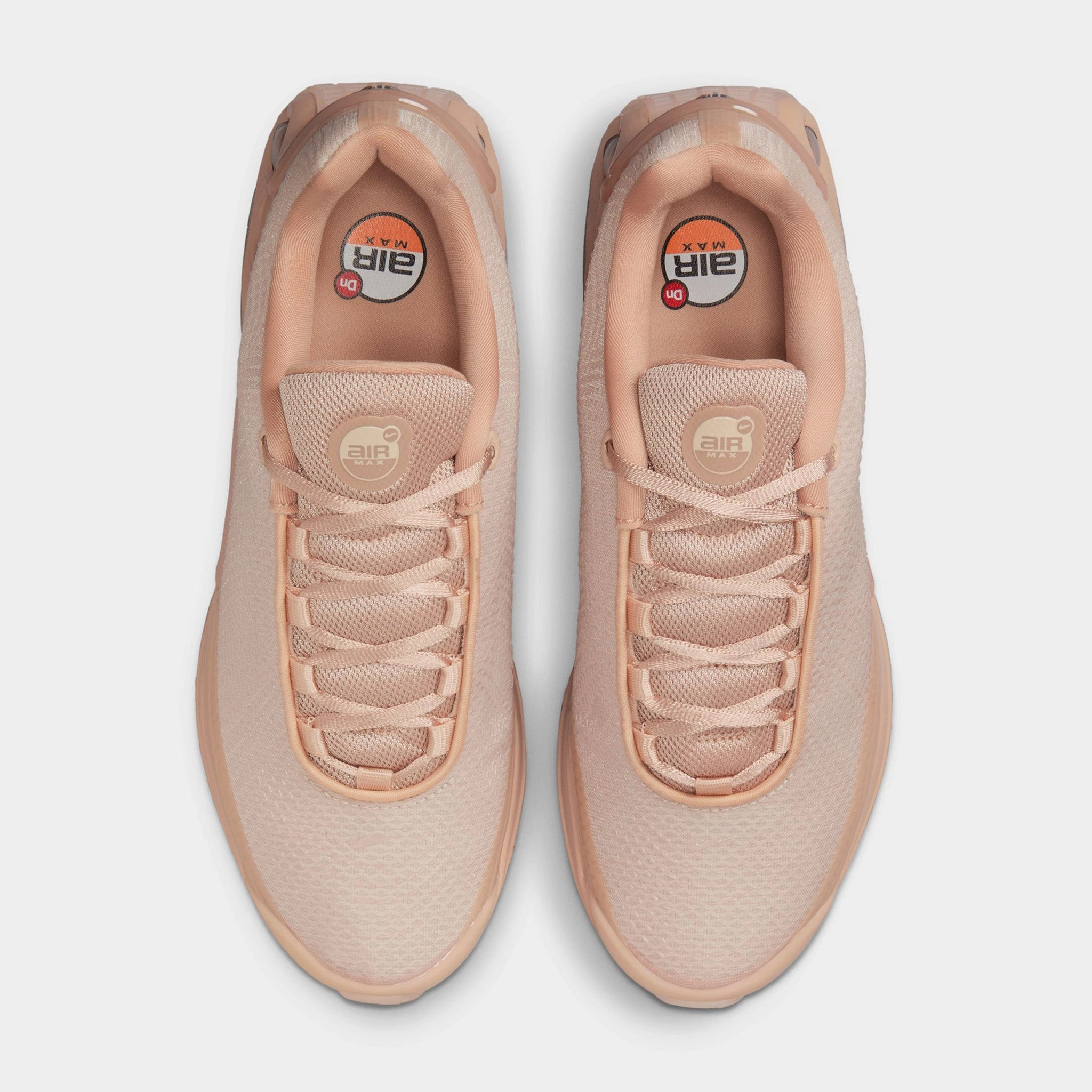 Nike Women's Air Max DN ISA Bio Beige / Sanddrift - Hemp