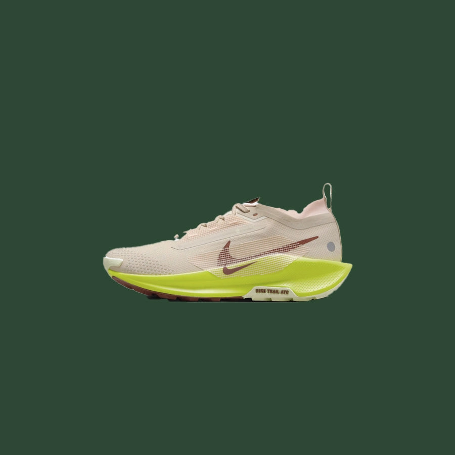 Women's Nike Pegasus Trail 5 GTX